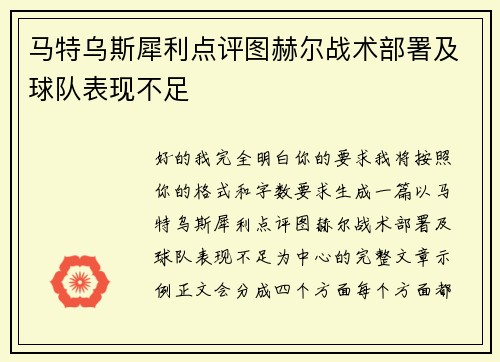 马特乌斯犀利点评图赫尔战术部署及球队表现不足